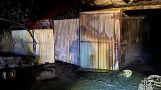 Гараж, баня и автомобиль сгорели в Удмуртии