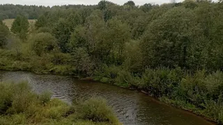 Период сухой погоды в Удмуртии сохранится
