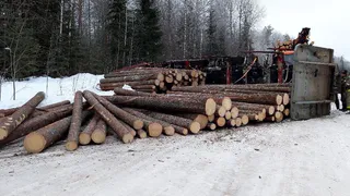 Полуприцеп с бревнами опрокинулся в Удмуртии