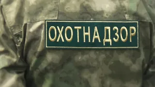 Сотрудники Минприроды Удмуртии проводят рейды по выявлению недобросовестных охотников