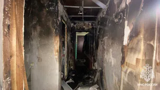 Пожарные в Удмуртии спасли пенсионерку-поджигательницу