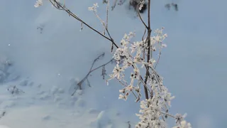 Погода в Глазове на 16 февраля