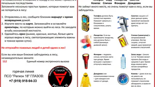 В окрестностях Глазова дважды нашли пропавших грибников