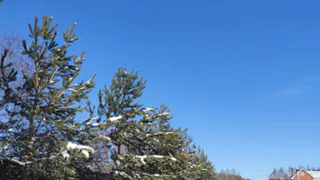 Погода в Глазове на 7 ноября