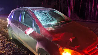 Пенсионер погиб под колесами автомобиля на трассе в Удмуртии