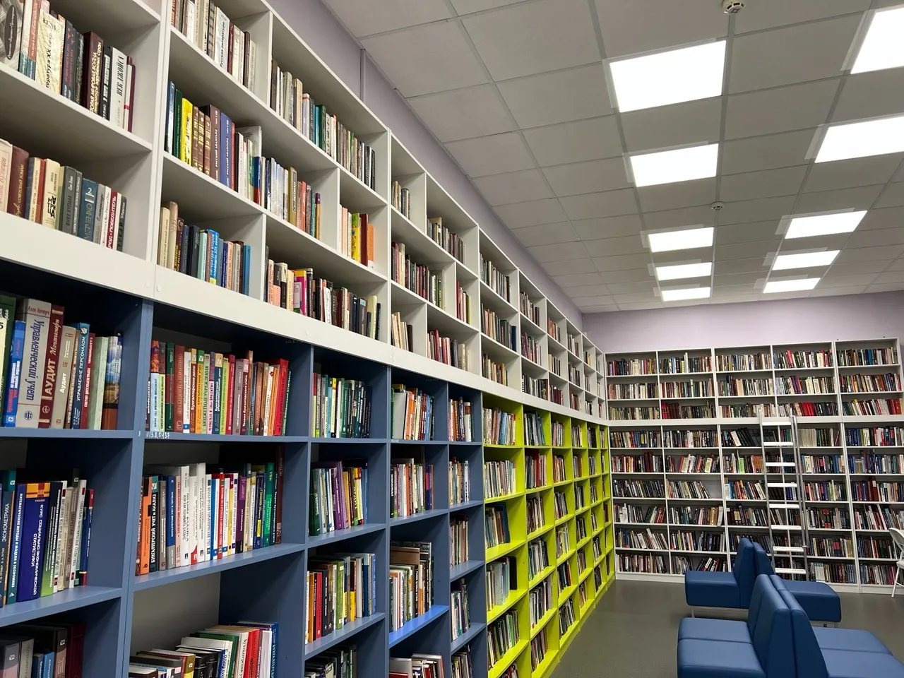 Библиотеки Удмуртии теряют 40 тысяч книг в год: как решат проблему дефицита