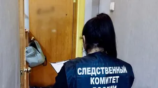 Жительница Удмуртии обвиняется в убийстве бывшего мужа