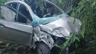В Удмуртии водитель «Хендэ Солярис» насмерть врезался в лося и дерево