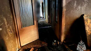 Шестеро людей и кот эвакуированы при пожаре в Удмуртии