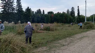 Жители Удмуртии вышли на общий покос и спасли дорогу к школе