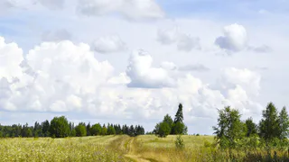 В выходные дни в Удмуртии установится ветреная погода