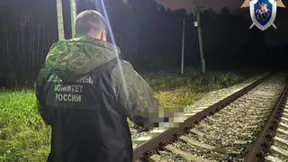 В Удмуртии 18-летний подросток попал под поезд