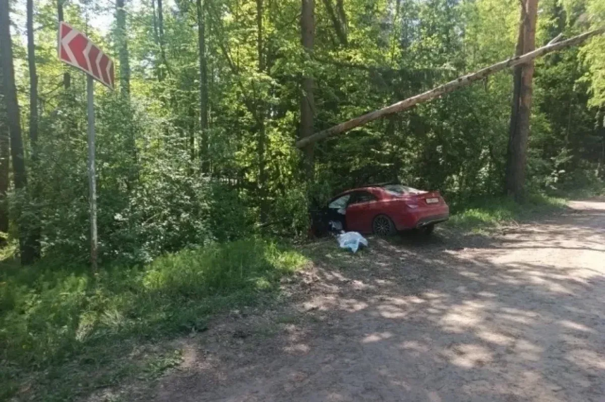 В Удмуртии ДТП на трассе Югдон—Воложка унесло жизнь водителя