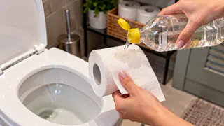Смачиваю туалетную бумагу уксусом и забываю про бытовые проблемы — работает идеально