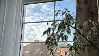 Окна, намытые как после клининга: 2 пакетика в кипяток и 8 месяцев без разводов - моя домашняя хитрость