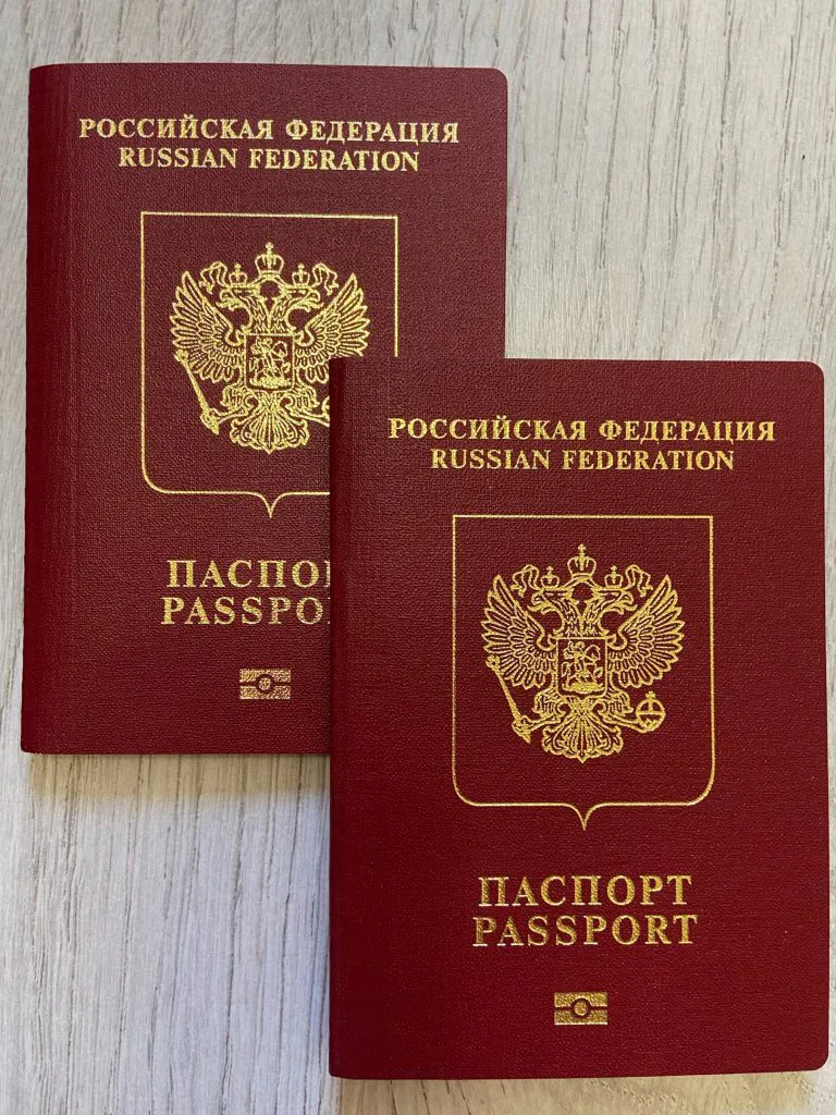 Увеличится госпошлина за выдачу загранпаспортов и прием в гражданство РФ
