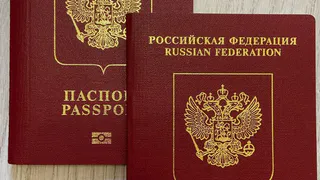 Увеличится госпошлина за выдачу загранпаспортов и прием в гражданство РФ