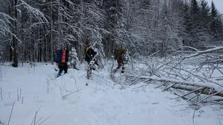 Четыре студента ГИПУ вернулись из трехдневного похода на выживание