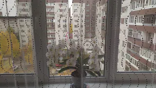 Старый тюль не выбрасываю: вот что с ним делаю - 10 полезных вариантов, для дома и души