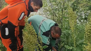 Мужчина сорвался с подвесного моста на пруду в Сарапуле