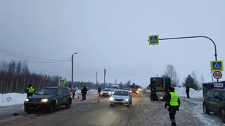 Жительницу Завьяловского района признали виновной в нарушении ПДД, повлекшем смерть человека по неосторожности