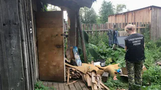 Житель Балезино признан виновным в убийстве соседа