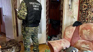 Житель Удмуртии обвиняется в убийстве родного брата