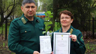 В Удмуртию прибыл саженец сталинградского Тополя Победы