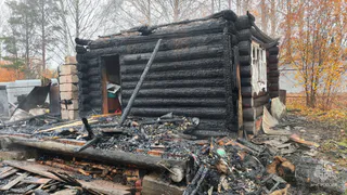 Варенье на плите стало причиной пожара в одном СНТ Воткинского района