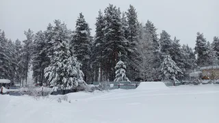 В Удмуртии морозы уступят место лёгкой оттепели: прогноз погоды на неделю 