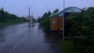 Прогноз погоды в Удмуртии на 1 августа: ожидается высокая пожароопасность
