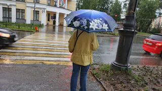 Родовой щит: кто из предков стоит за вашей спиной — и как это узнать по своей дате рождения