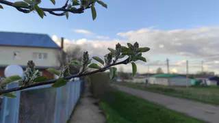 Погода в Глазове на 12 мая