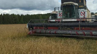 В Удмуртии завершается сбор зерновых