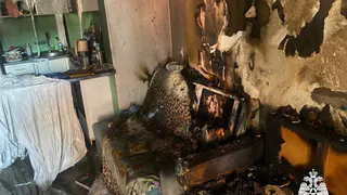 Арома свеча чуть не спалила все жильё жительницы Удмуртии