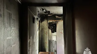 Квартира могла сгореть из-за холодильника в Удмуртии