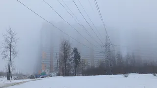 УФАС Удмуртии признало цену за размещение оптоволокна на опорах неоправданно высокой