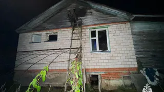 Отец и сын пострадали на пожаре в Удмуртии