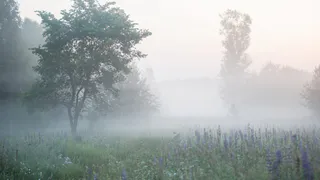 На этой неделе в Удмуртии значительно похолодает