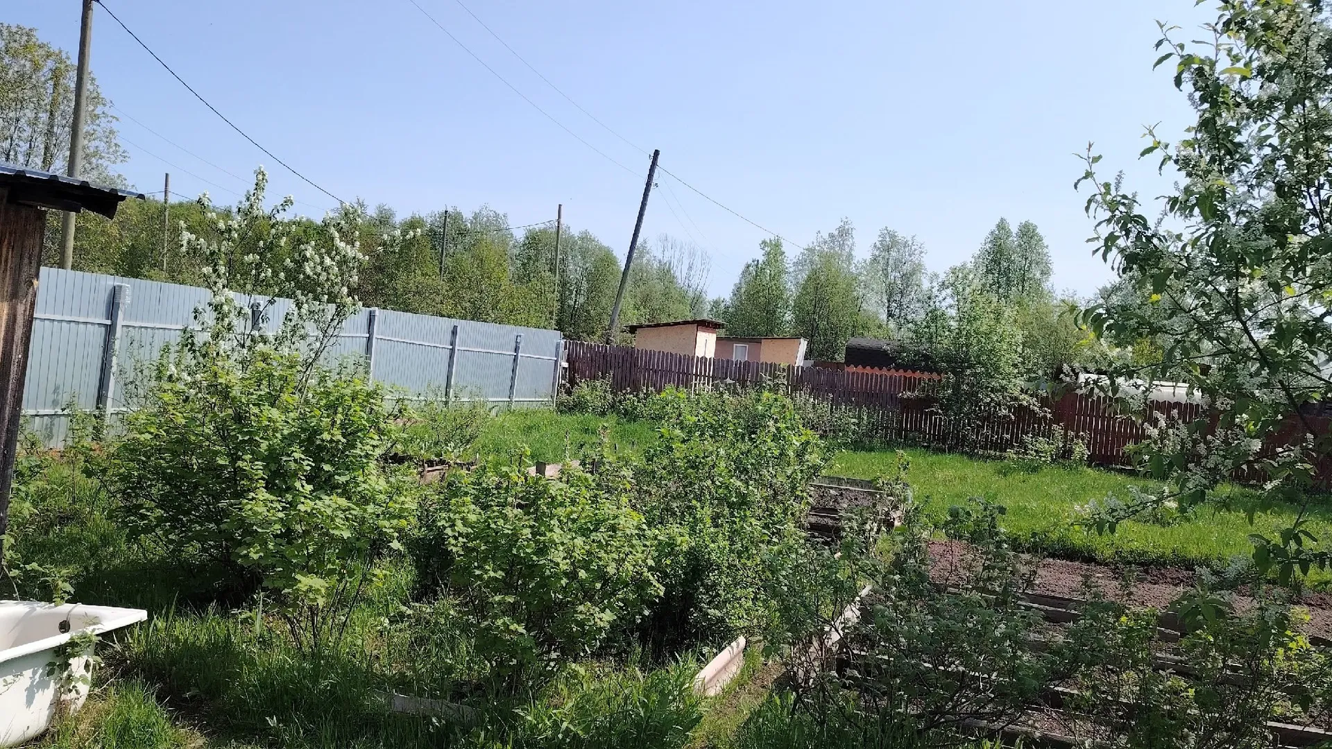 Посей это на рассаду в октябре— весной получишь ранний урожай
