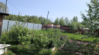 Посей это на рассаду в октябре— весной получишь ранний урожай