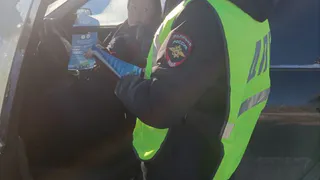 Глазовских водителей ждут массовые проверки