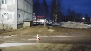 В Удмуртии грузовик сбил женщину с трехлетней дочерью во дворе дома