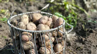 В Глазовском районе аграрии продолжают уборку урожая и заготовку кормов