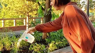 В Глазове просят жителей поливать растения в Горсаду во время жары