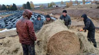Аграрии Глазовского района подвели итоги работы