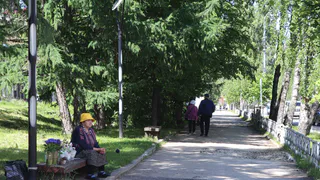 Антициклон принесет в Удмуртию потепление до +23 градусов 10 июня