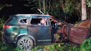Два человека в Удмуртии погибли в аварии из-за лося