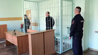 В Глазове осудили мужчину, убившего родную мать
