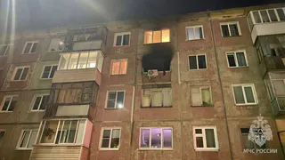 Троих детей спасли на пожаре в жилом доме в Ижевске, но погиб кот, который надышался угарным газом